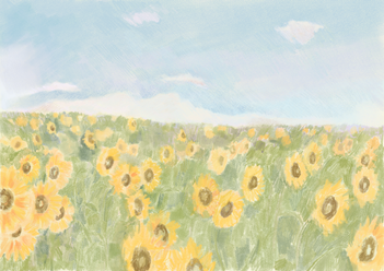 Field of Sunflowers Landscape